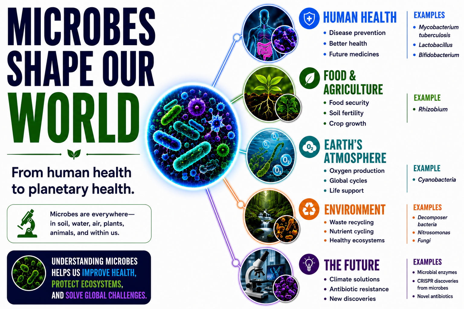 importance _ microbe