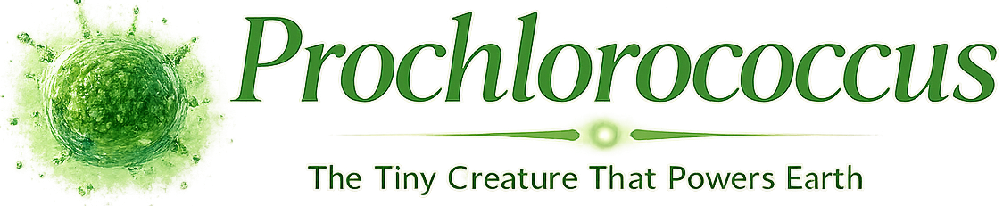 Prochlo