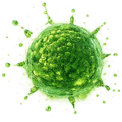 Floating Prochlorococcus